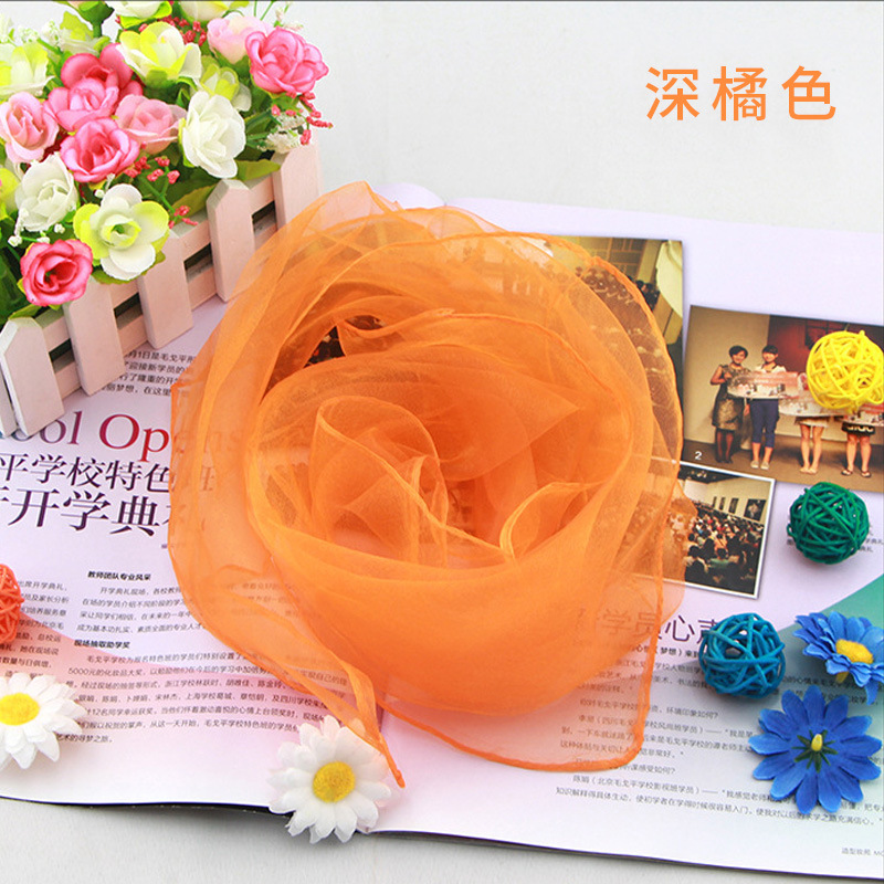 بلون الشيفون وشاح الحرير الصغي - مراجعة Silk Scarf Square وسعره